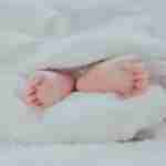 baby donor