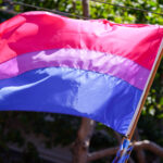 bisexual flag colours