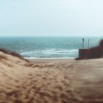 shallow focus photography of brown sand and sea