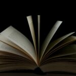 more than a best friend book