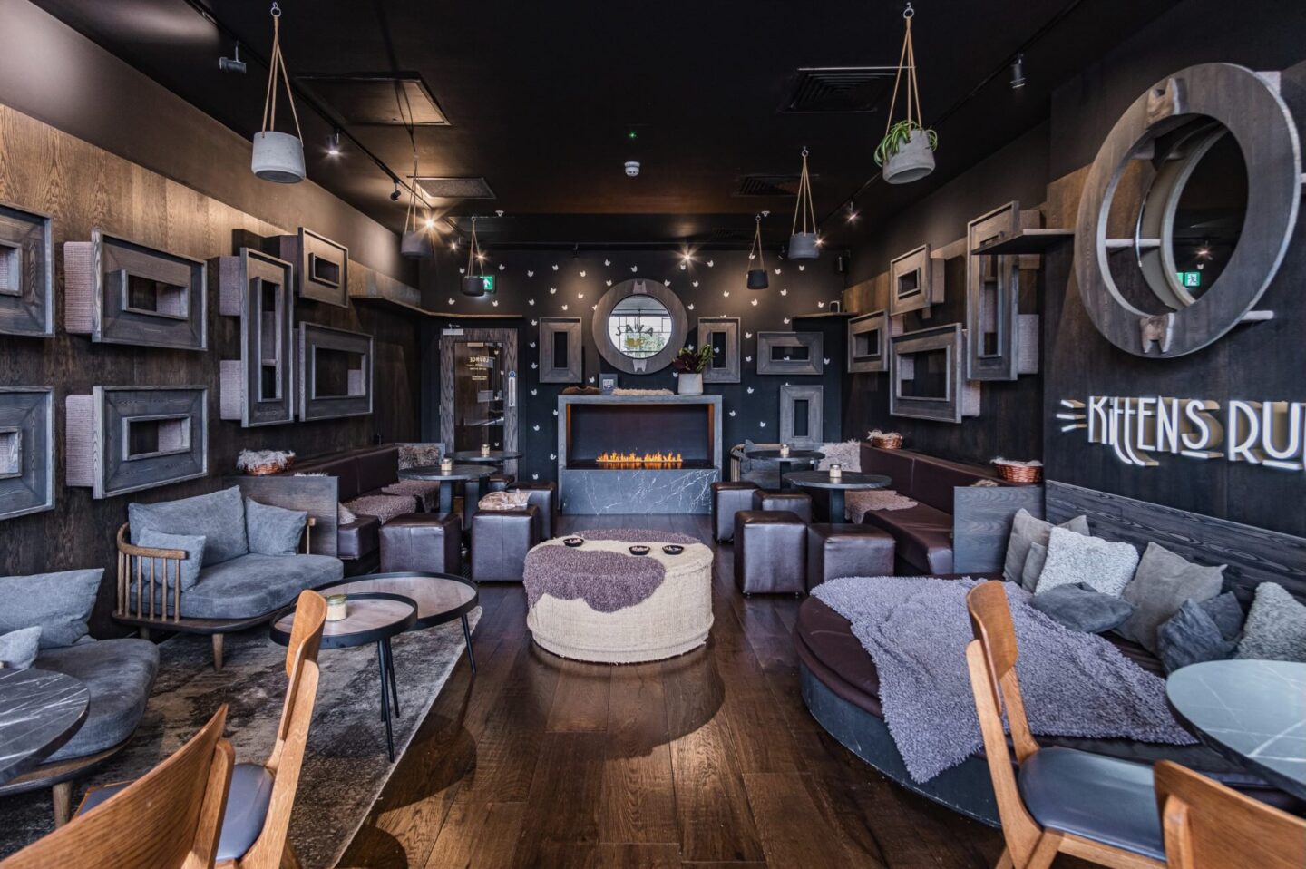 Java Whiskers Cat Cafe chair and fireplace