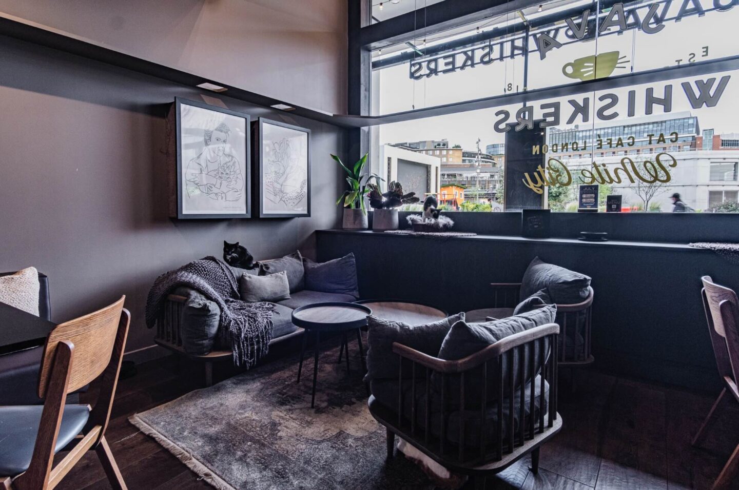 Java Whiskers Cat Cafe with the window and logos on the windows