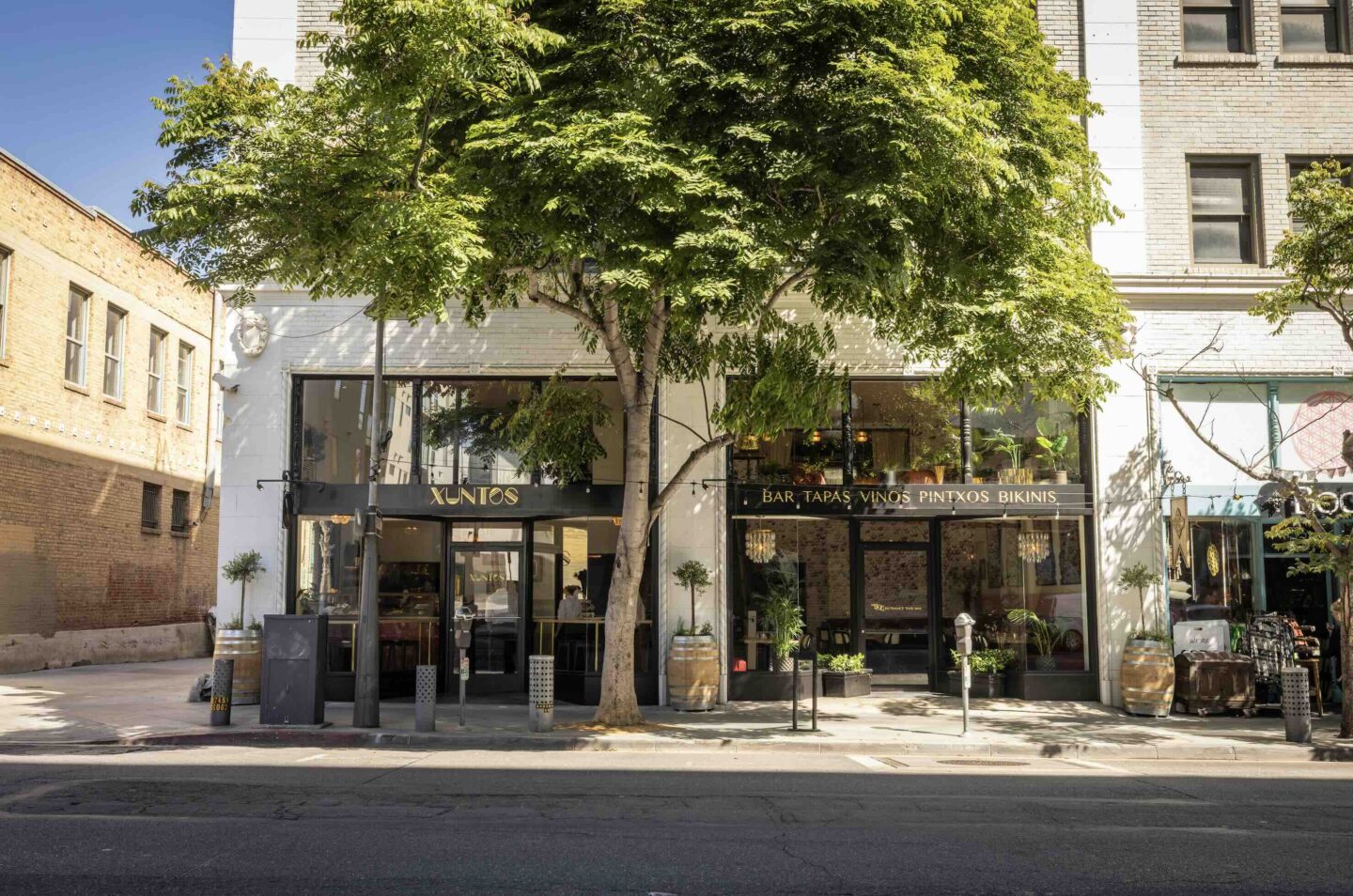 Xuntos. Photo by Stan Lee