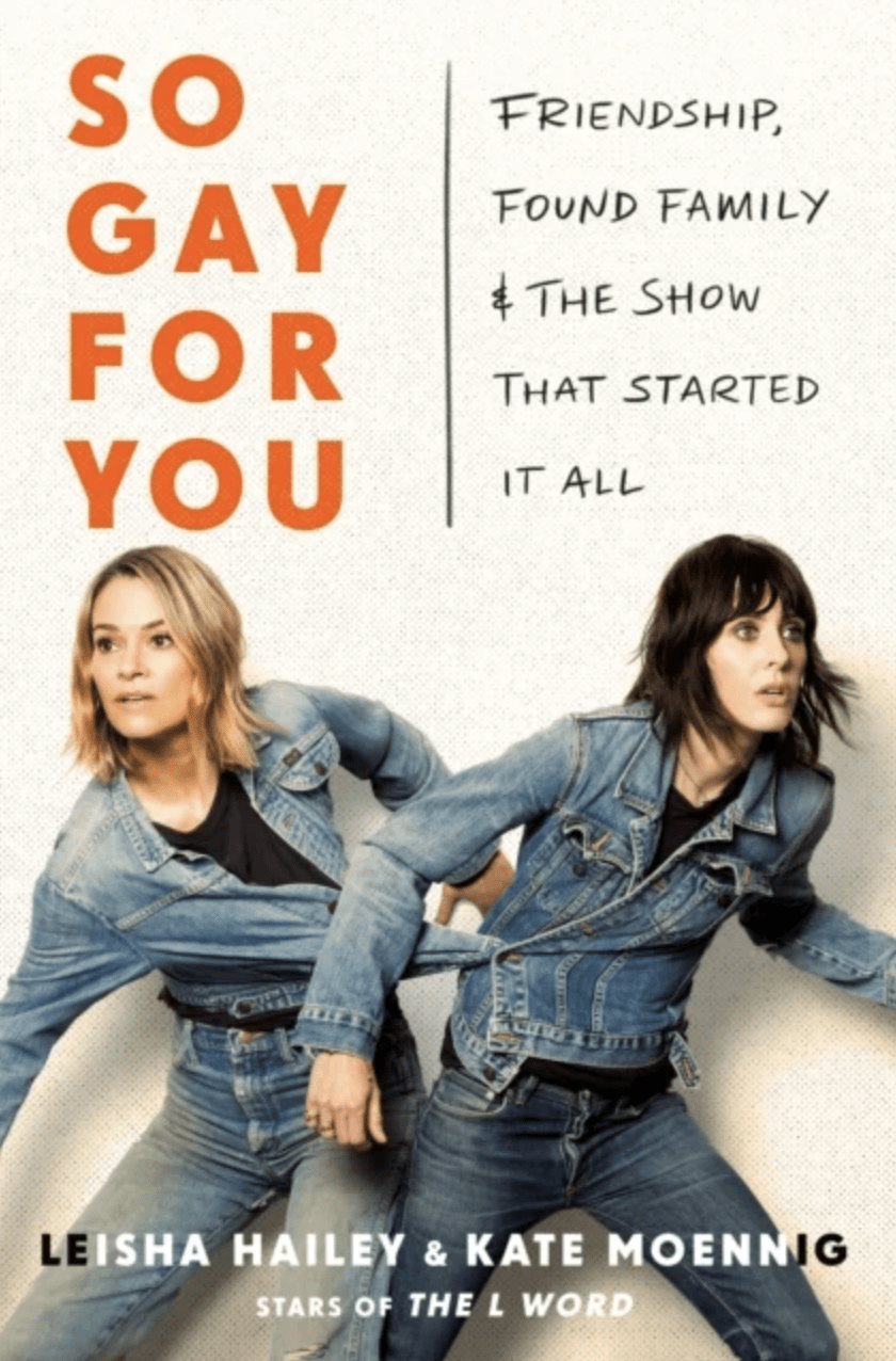 So gay for you book cover