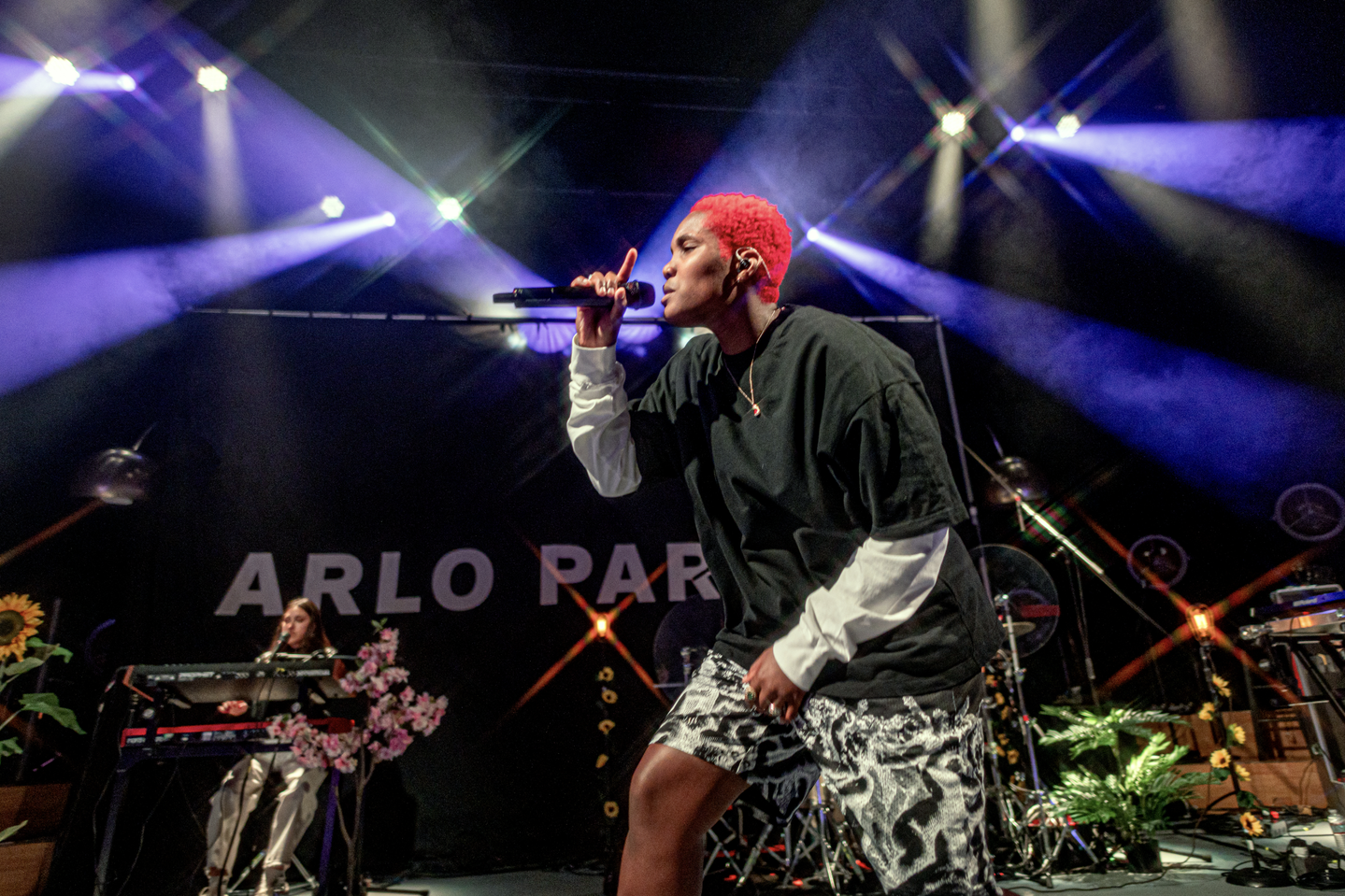 Arlo Parks performing at the Greek Theatre, Los Angeles, 2022. Photo by Justin Higuchi, CC BY 2.0, via Wikimedia Commons.